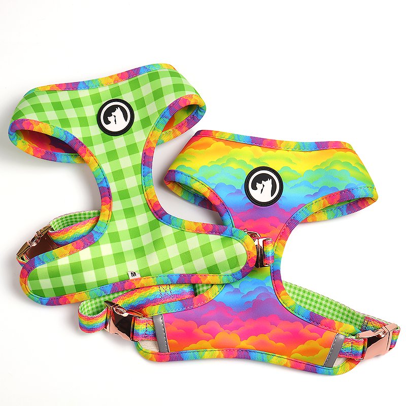 Luxury Custom Designer Pet Dog Walking Lead Leashes Personalized Dog Leash With Poop Bag Holder