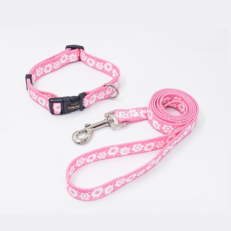 Wholesale soft pvc waterproof dog buckle collar leash with name tag luxury fashion adjustable dog collar lead set