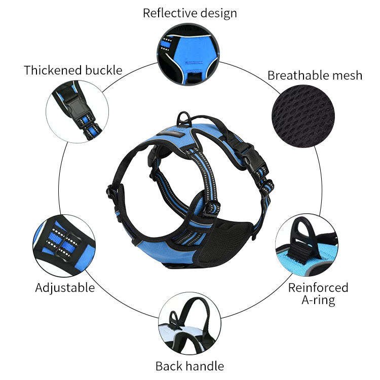 Designers Custom Dog Accessories Adjustable OEM Breathable Dog Training Harness And Leash Set