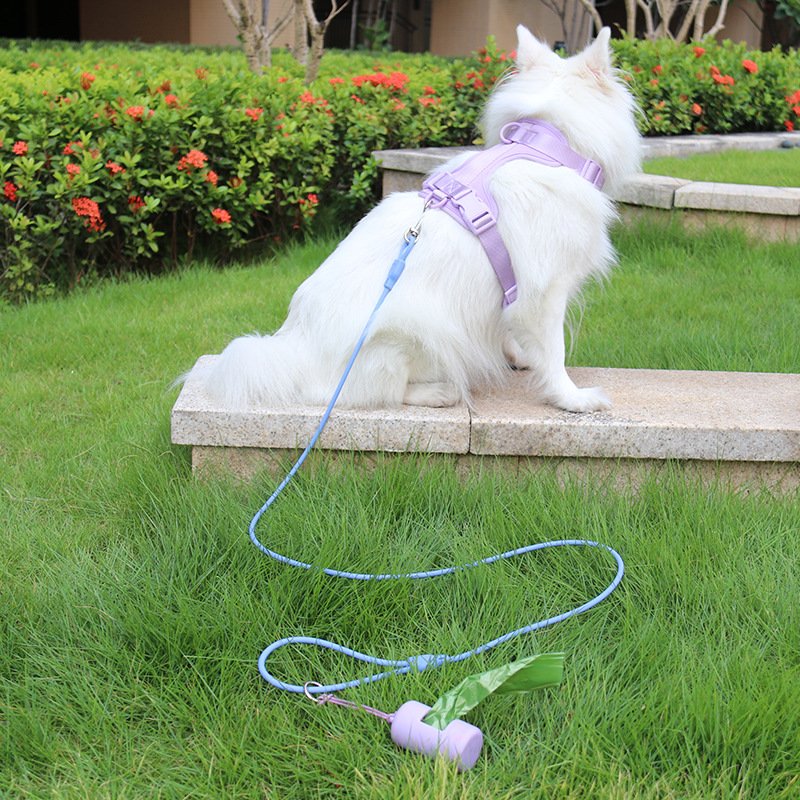 other pet products Luxury personalised dog collar pet shop dog poop bag silicone pet harness