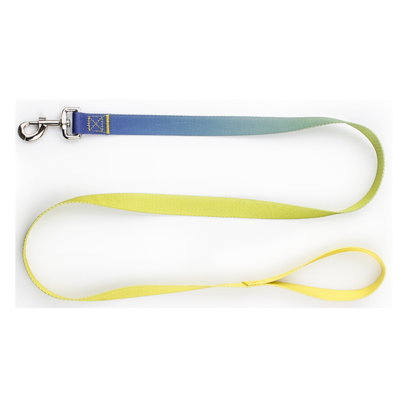 2024 New wholesale gradient custom four seasons general pet supplies adjustable pet dog leash