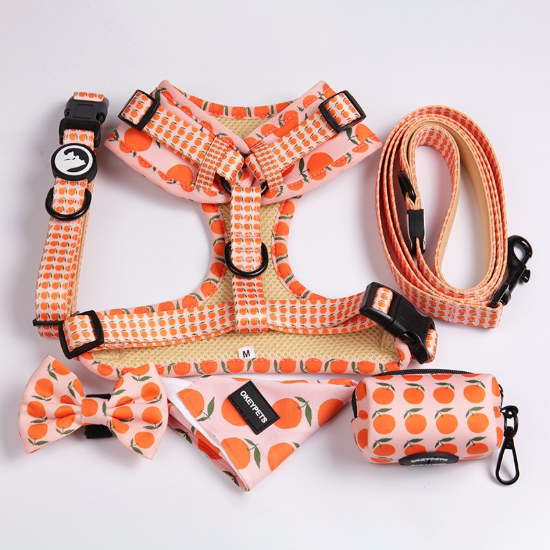 2021 New Customized Multicolor Durable Polyester Neoprene Pet Dog Harness Collar Leash For Walking Running