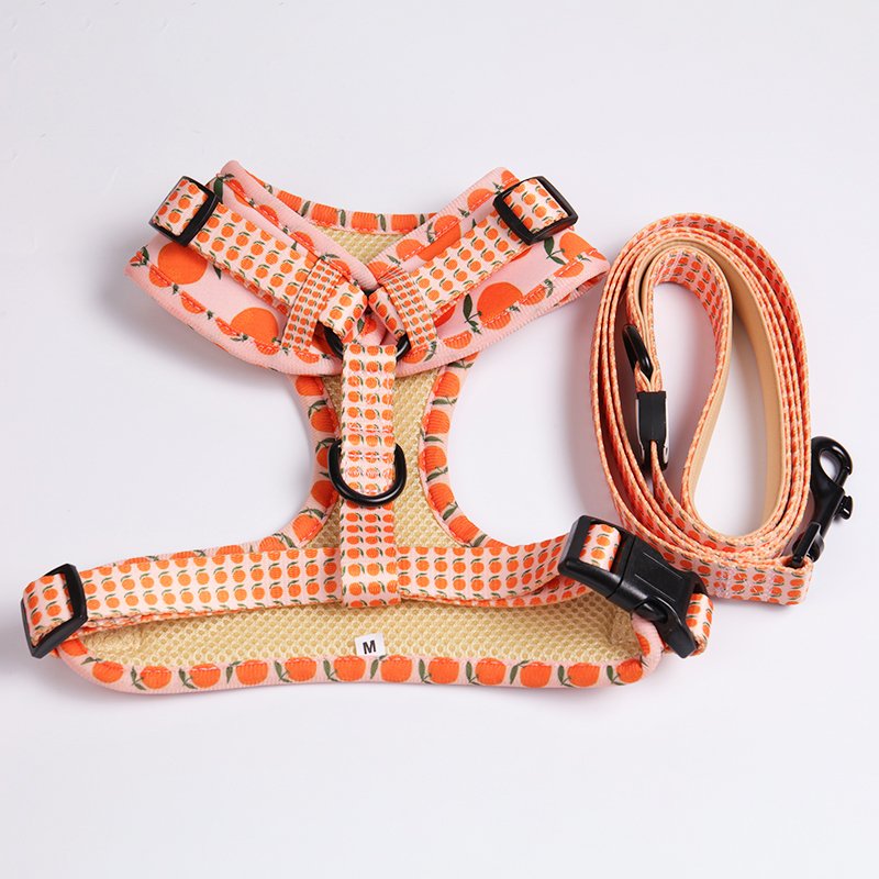 2021 New Customized Multicolor Durable Polyester Neoprene Pet Dog Harness Collar Leash For Walking Running