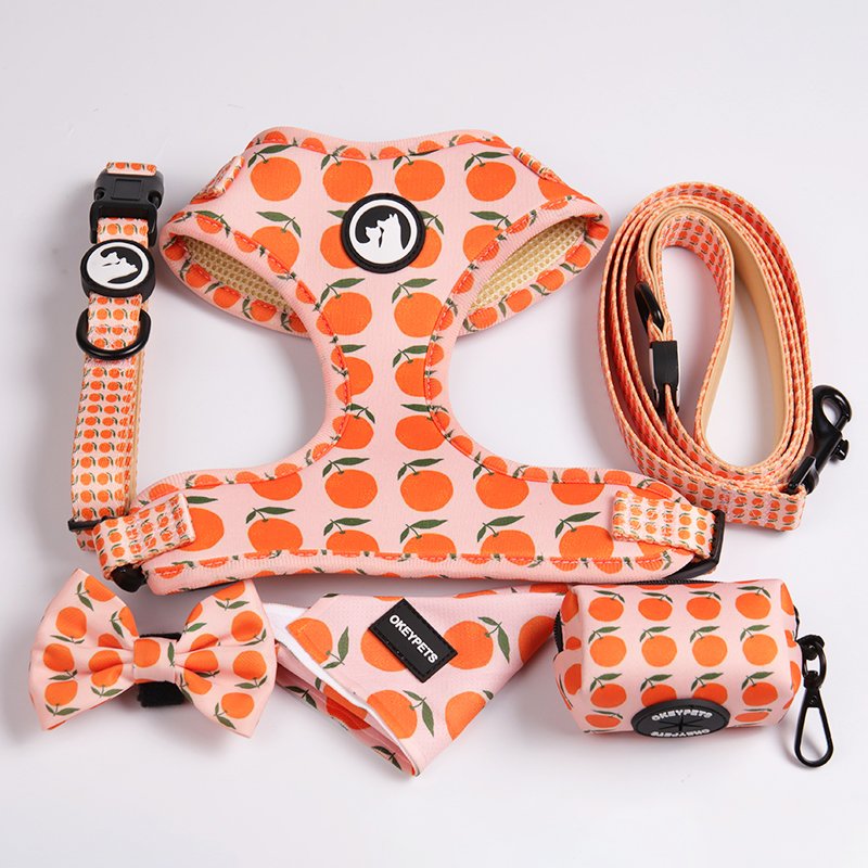 2021 New Customized Multicolor Durable Polyester Neoprene Pet Dog Harness Collar Leash For Walking Running