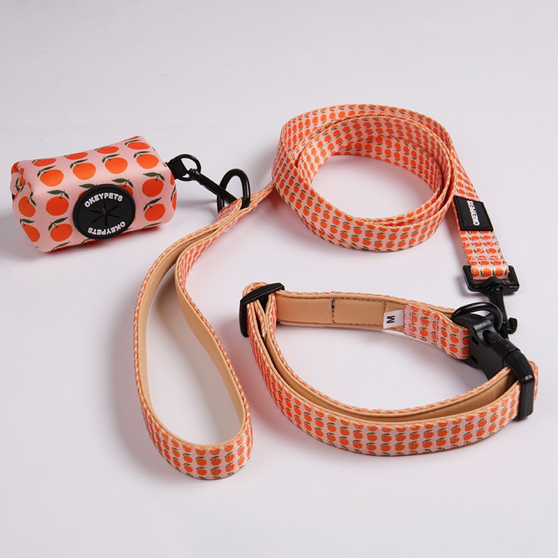 2021 New Customized Multicolor Durable Polyester Neoprene Pet Dog Harness Collar Leash For Walking Running