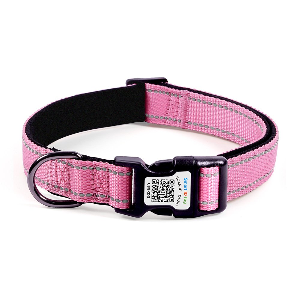 Custom Luxury Smart Dog Collar with QR Code & Software Ready ID Made of Premium Nylon