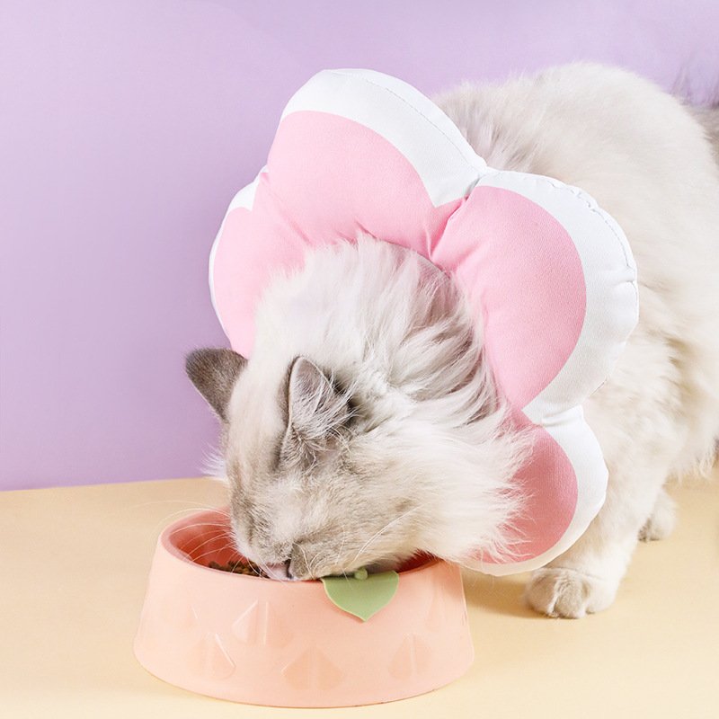 Hot Sale Low Price flower shaped Anti bite and scratch pet collar Cat cone collar