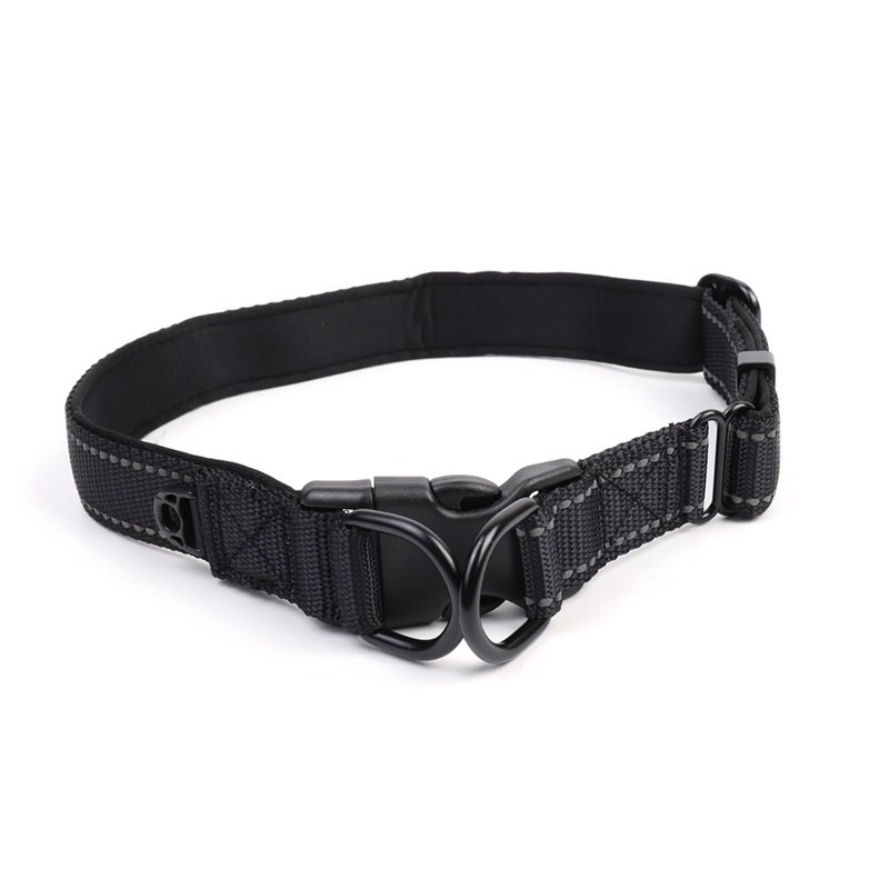 Customized Pet Collar Light-weight Pet Collar Adjustable Reflective Dog Collars & Leashes for Pet Nylon Outdoor 2 Pcs