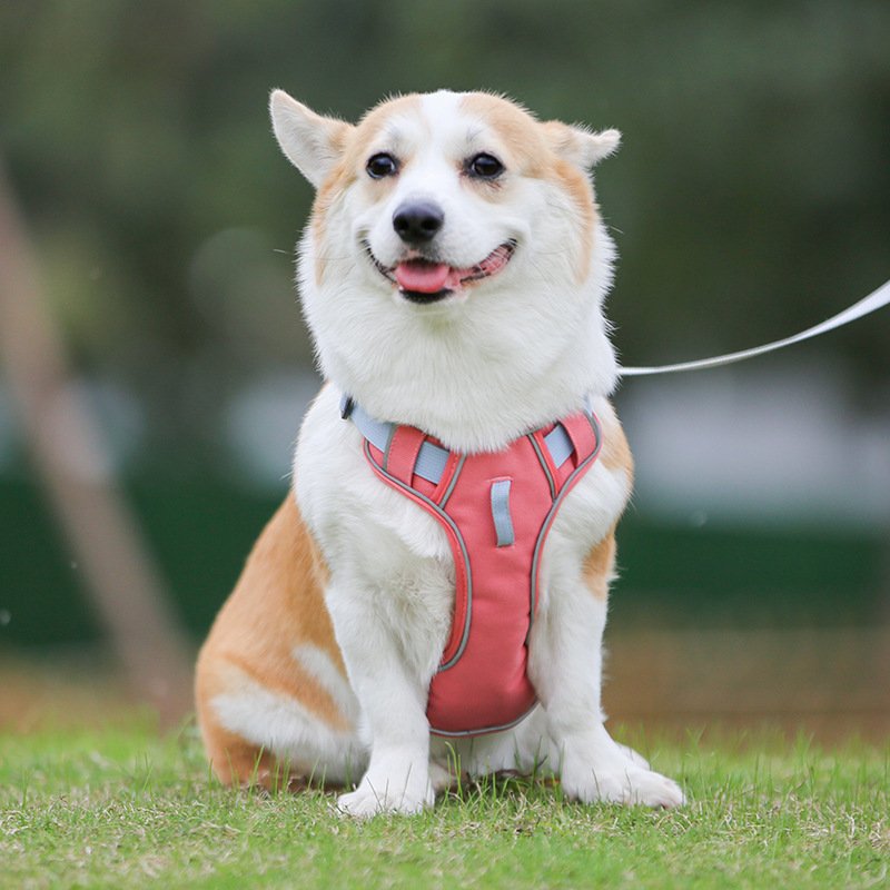 OEM Luxury Adjustable Reflective Dog Harness Custom Nylon Vest Style No Pull for Outdoor Walking Pet Dog Walking Gear