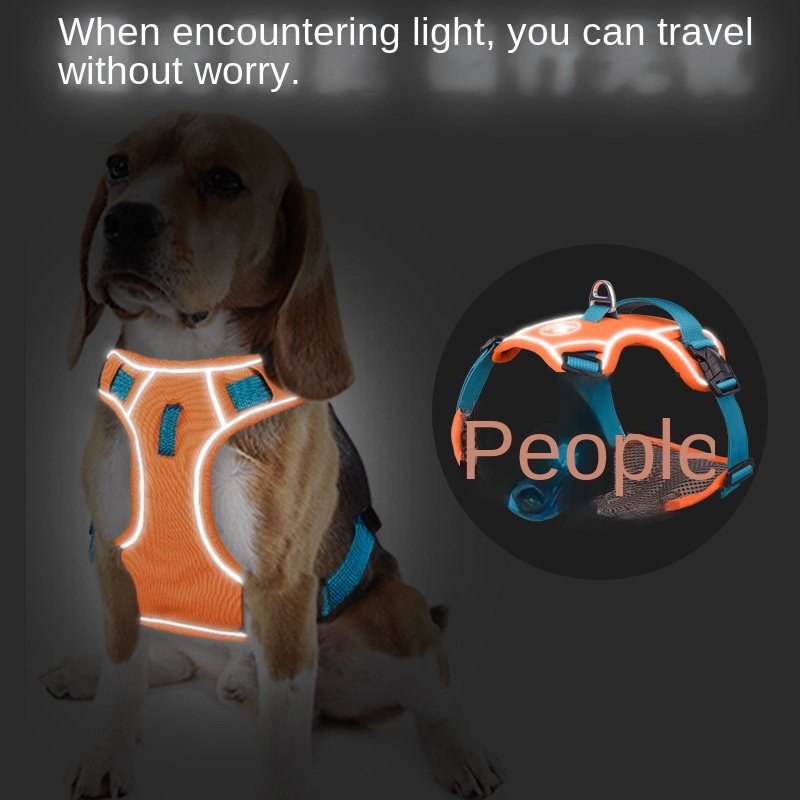 OEM Luxury Adjustable Reflective Dog Harness Custom Nylon Vest Style No Pull for Outdoor Walking Pet Dog Walking Gear