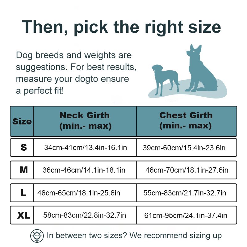 Custom oem logo luxury pet dog accessories products supplie retractable dog collar leash wire training harness set for dogs