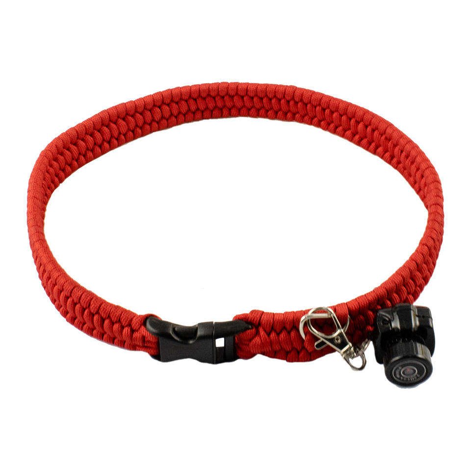 Wholesale Pet Supplies Paracord Braided Pet Camera Collar Teddy Pomeranian Comfortable Dog Collar Neck