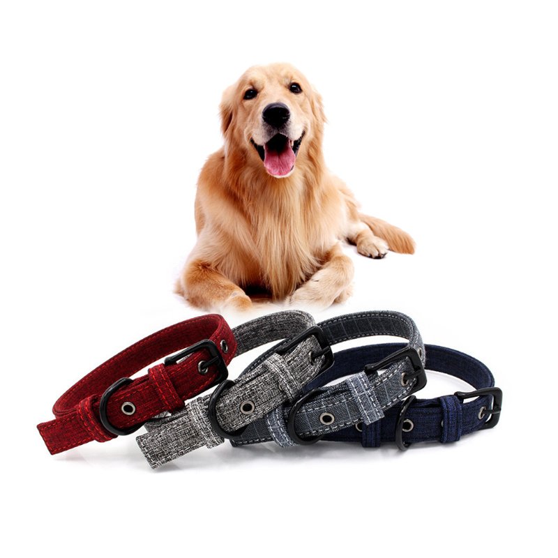 Various Styles Popular Designer Luxury Dog Collar Leash