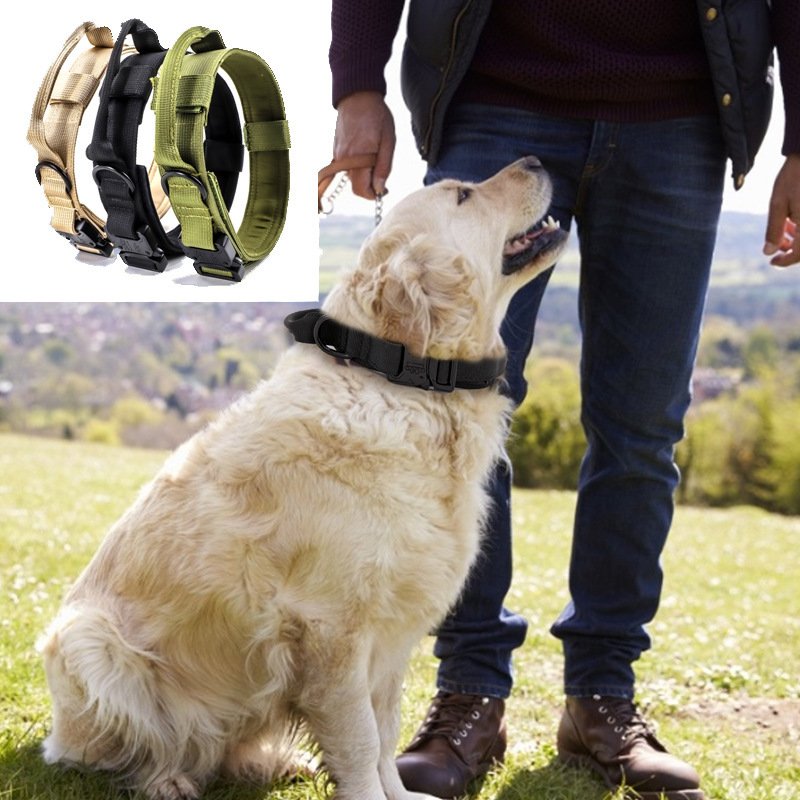 Custom color Dog collar With Matching Dog Collar Leash Pet Products Dog Vest Harness