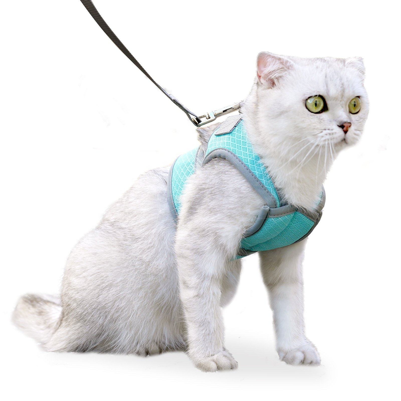 Cat Accessories Adjustable Prevents Breakaway Pet Cat Harness mesh comforts Custom Logo High Quality Cat Harness and Leash Set