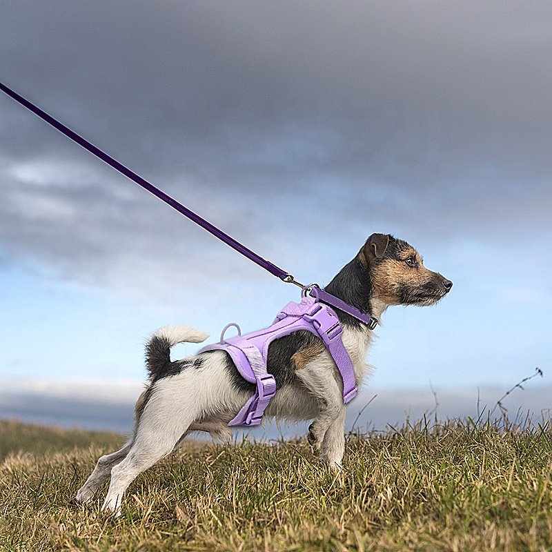 OEM/ODM Pet Suppliers Outdoor Adjustable Soft Dog Collar And Leash Tactical No Pull Silicone Set Leads Waterproof Dog Harness