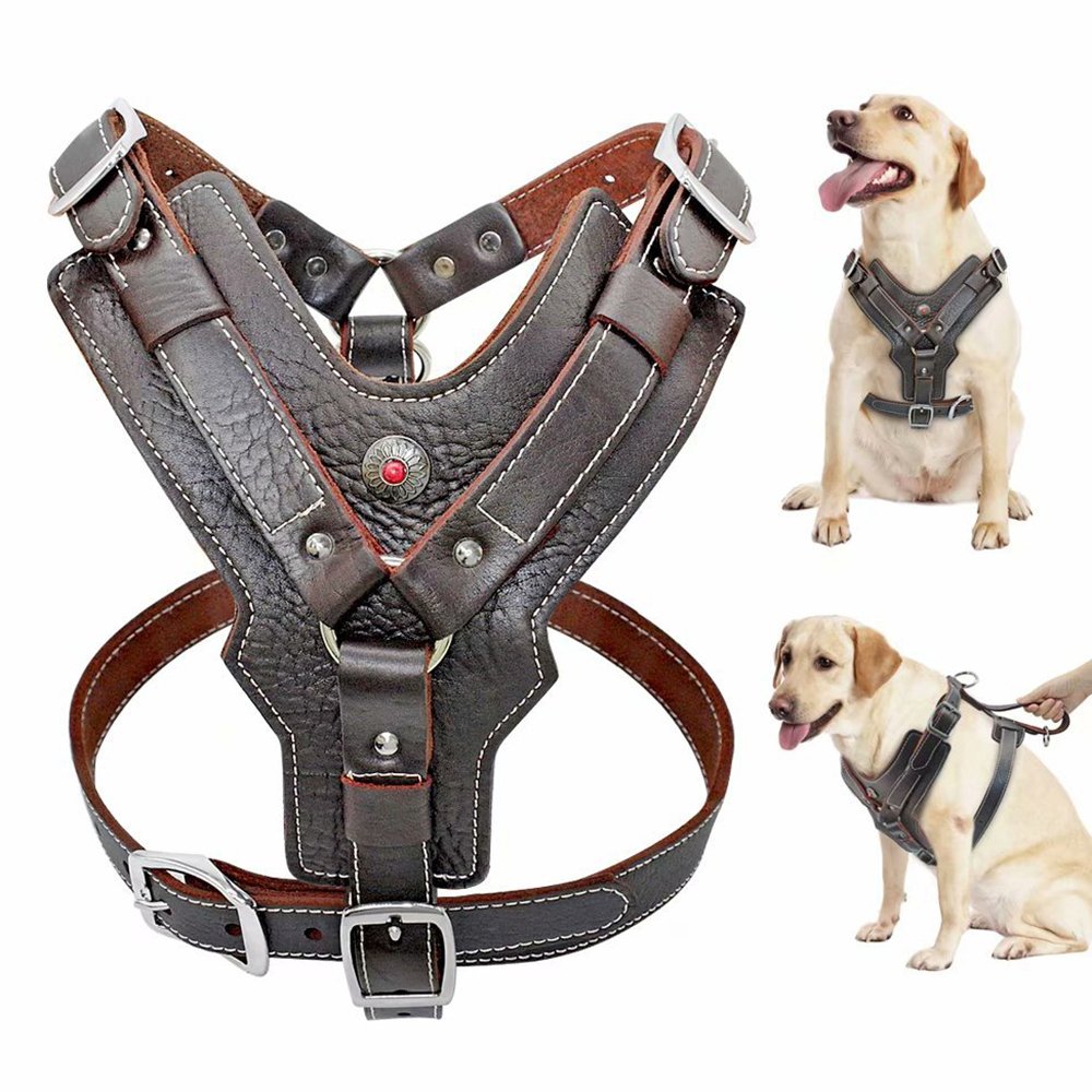 Dog Training Wear Leather Made Dogs Harness Manufacturer High Quality Low MOQ Made In Pakistan Customized Dog Harness OEM