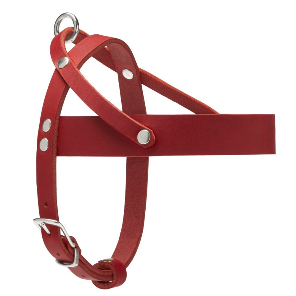 Dog Training Wear Leather Made Dogs Harness Manufacturer High Quality Low MOQ Made In Pakistan Customized Dog Harness OEM