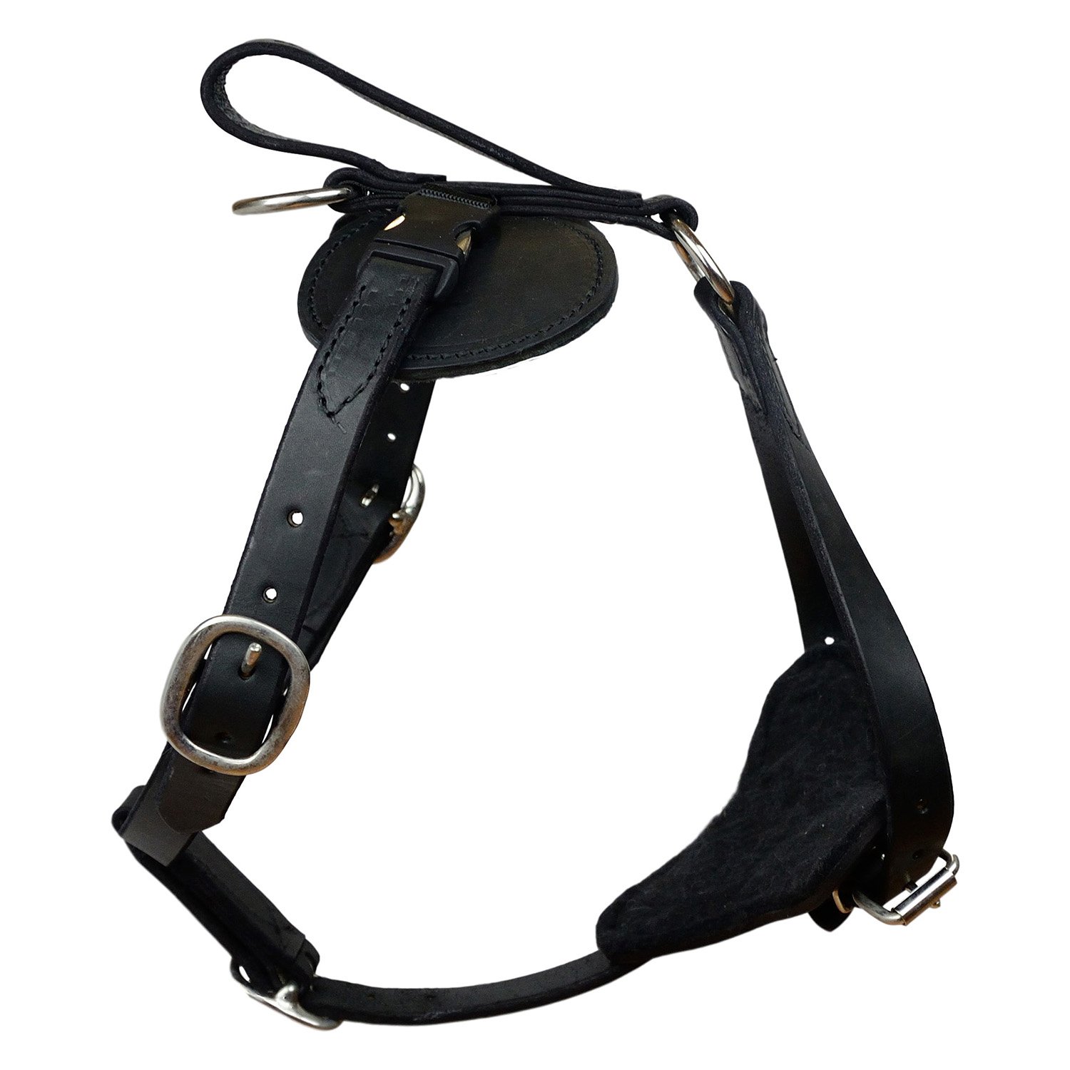 Dog Training Wear Leather Made Dogs Harness Manufacturer High Quality Low MOQ Made In Pakistan Customized Dog Harness OEM