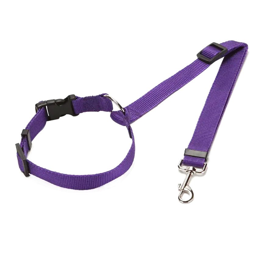 Dog Collar Leash Manufacturers Wholesale Pet Nylon Safety Belt With Traction Rope And Collar Accessories