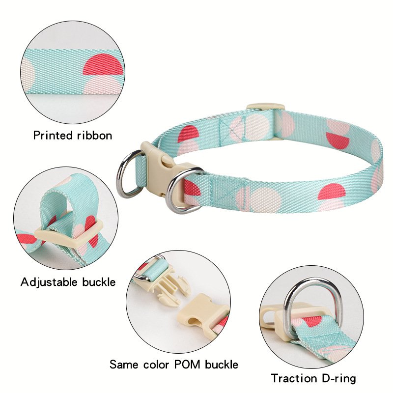custom dog training collar pet collars wholesale small dog adjustable buckle pet dog collar pet harness