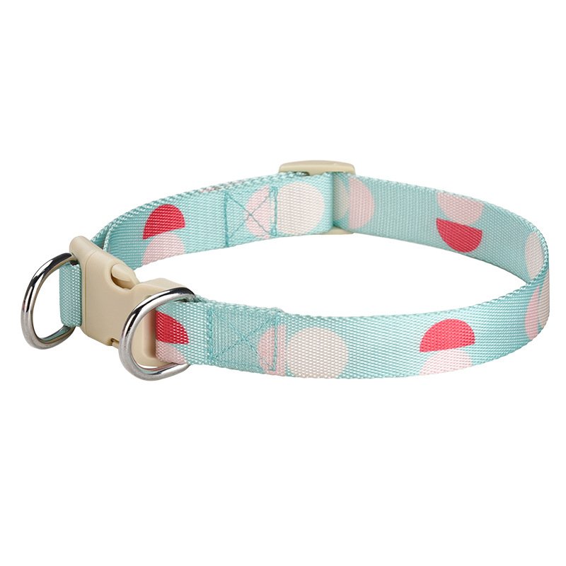custom dog training collar pet collars wholesale small dog adjustable buckle pet dog collar pet harness