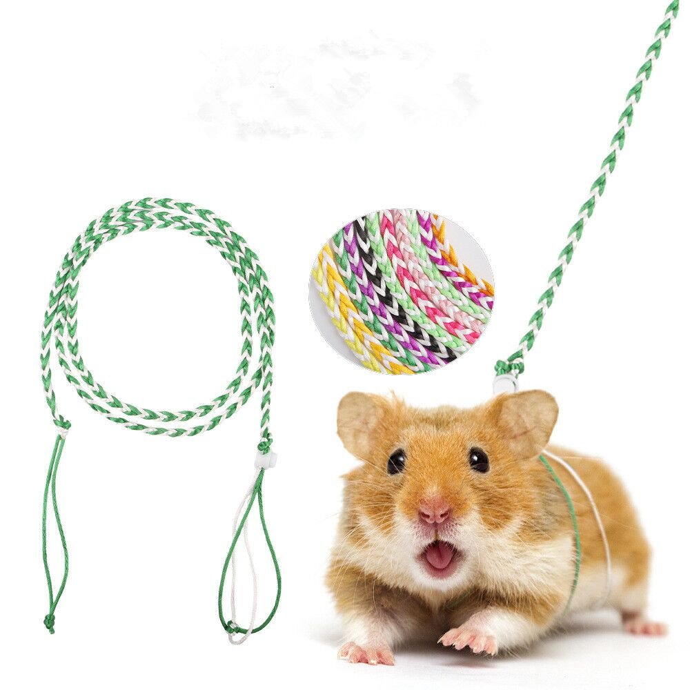 Terylene Walking Rope Hamster Lead double handle hamster leash led Double Handle Pet Collar Paracord Hamster Collar LeaHosh Set