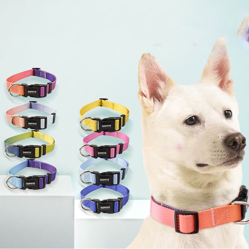 China Wholesale Dog Collars Durable Comfortable Puppy Collar Leash Popular New Pet Accessories Training Collar