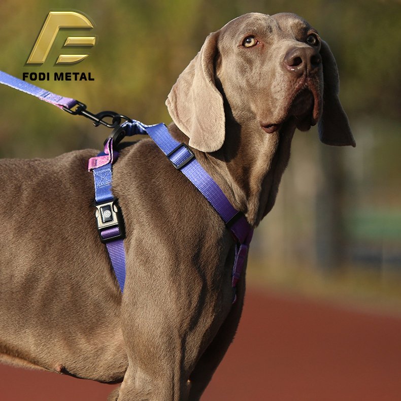 P004-HL manufacturers other pet collars leashes & harnesses high quality webbing dog harness and leash