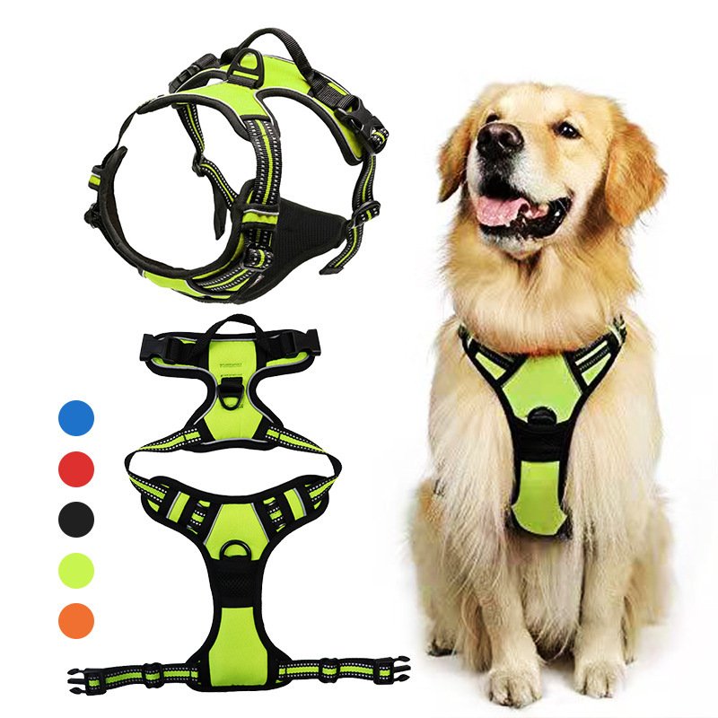 Hot sale waterproof adjustable pet collars & leashes set For dogs