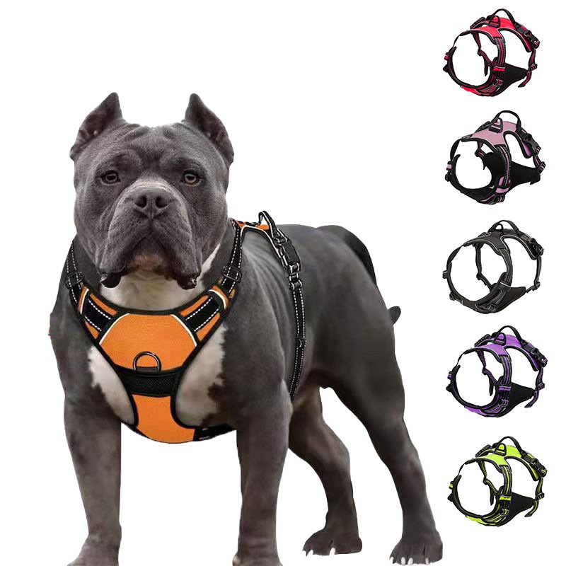 Hot sale waterproof adjustable pet collars & leashes set For dogs