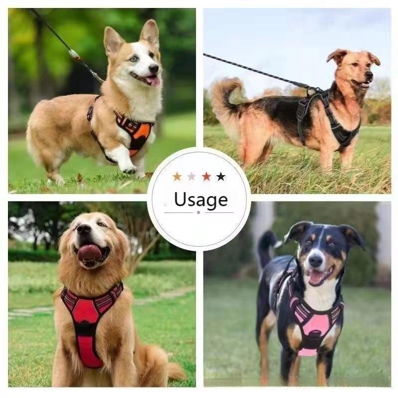 Hot sale waterproof adjustable pet collars & leashes set For dogs