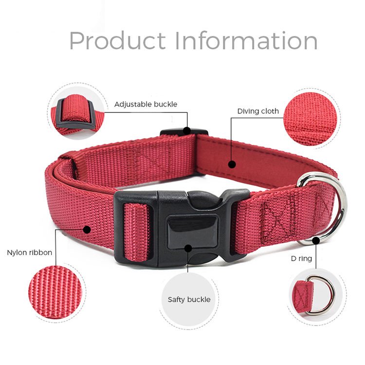 Pet Care Accessories Fashionable Design Pet Dog Collars