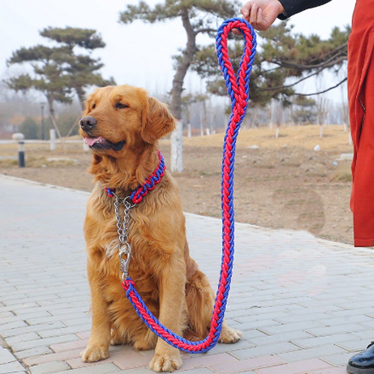 Popular Design Cheaper Price Dog Collar With Matching Dog Leash Pet Supplies