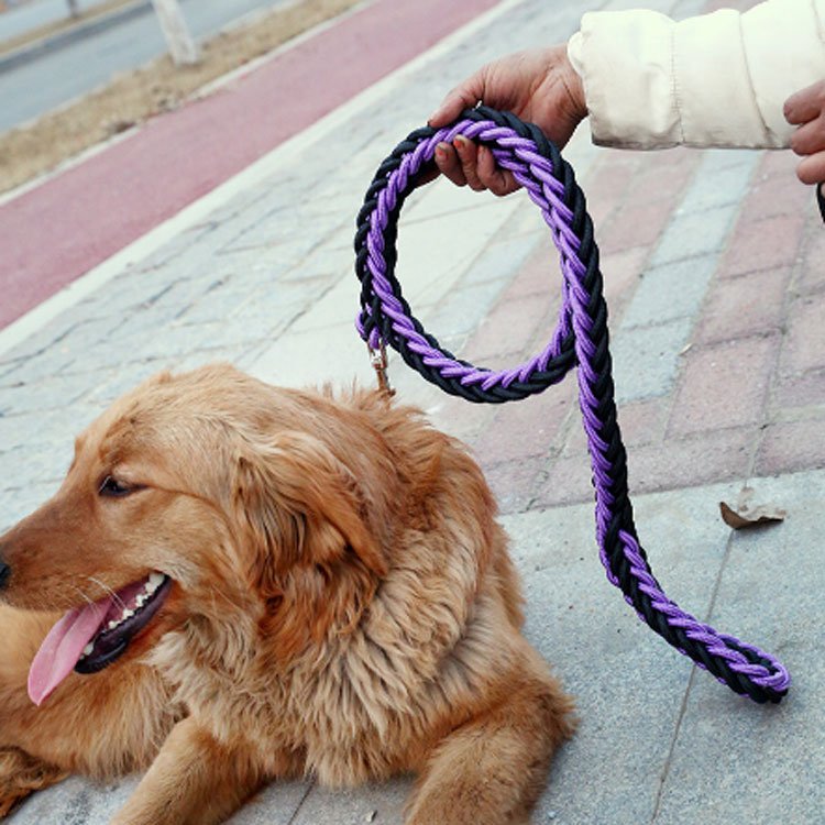 Popular Design Cheaper Price Dog Collar With Matching Dog Leash Pet Supplies