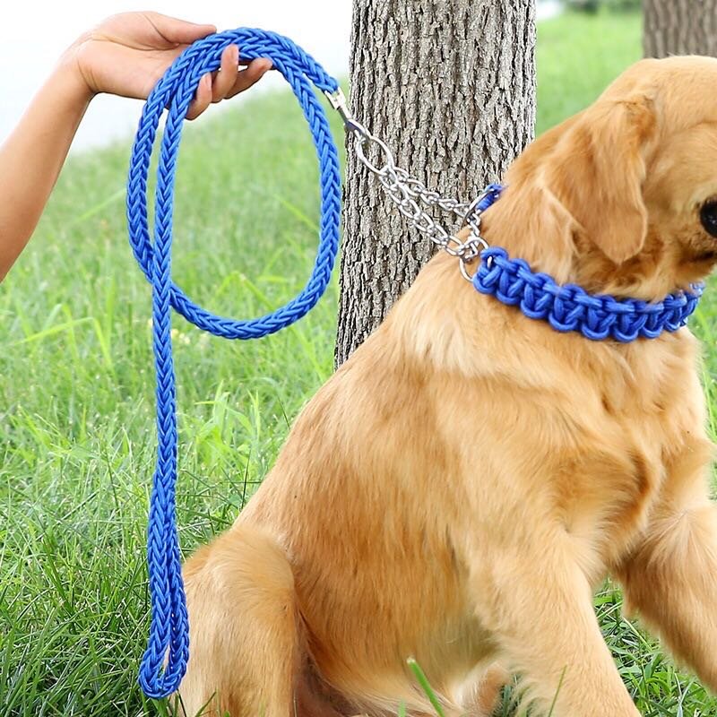 Popular Design Cheaper Price Dog Collar With Matching Dog Leash Pet Supplies
