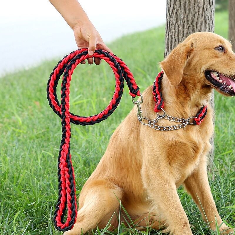 Popular Design Cheaper Price Dog Collar With Matching Dog Leash Pet Supplies