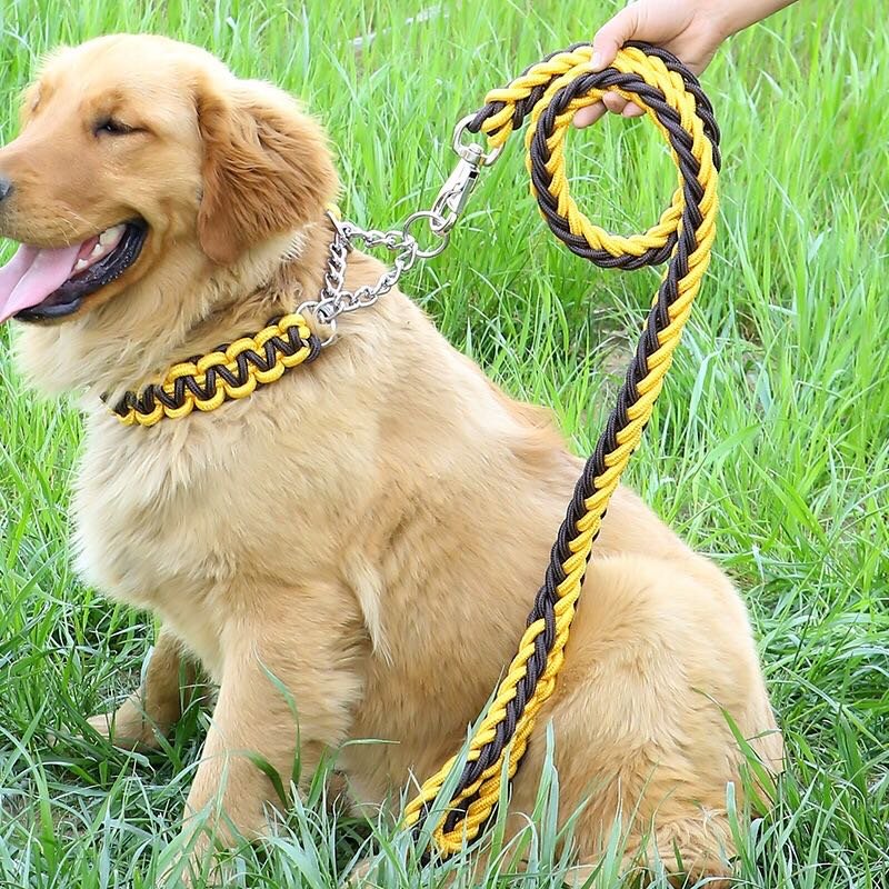 Popular Design Cheaper Price Dog Collar With Matching Dog Leash Pet Supplies
