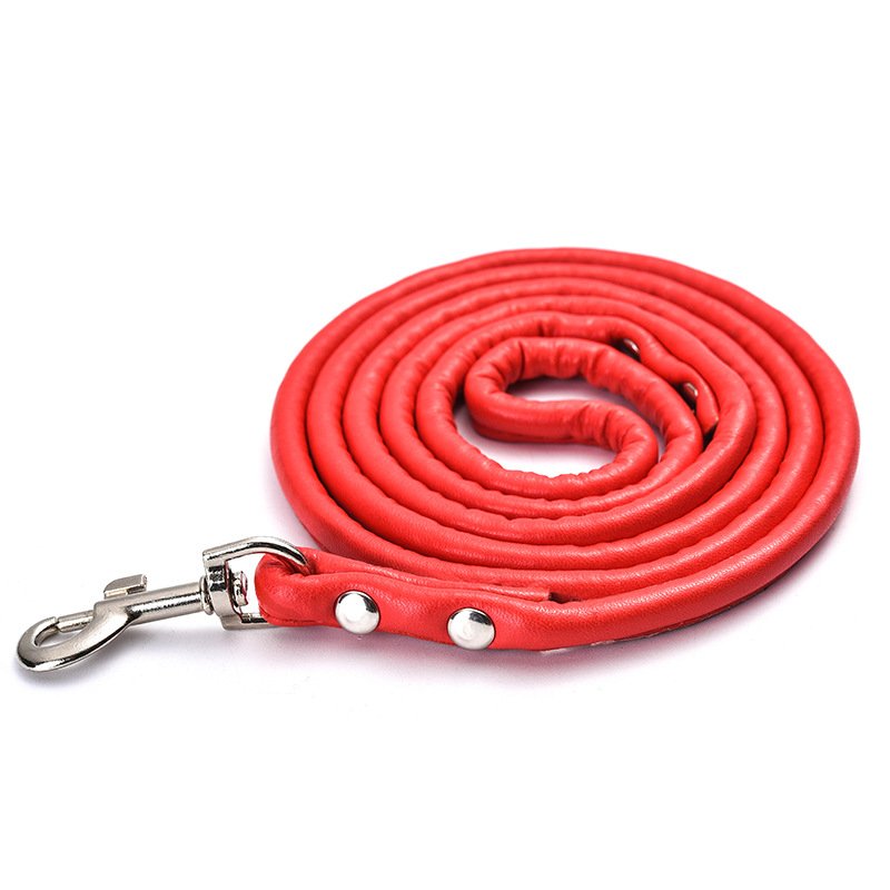 Pet Dog leash Fashion Multicolor PU Round Rope Small And Medium Dog leash