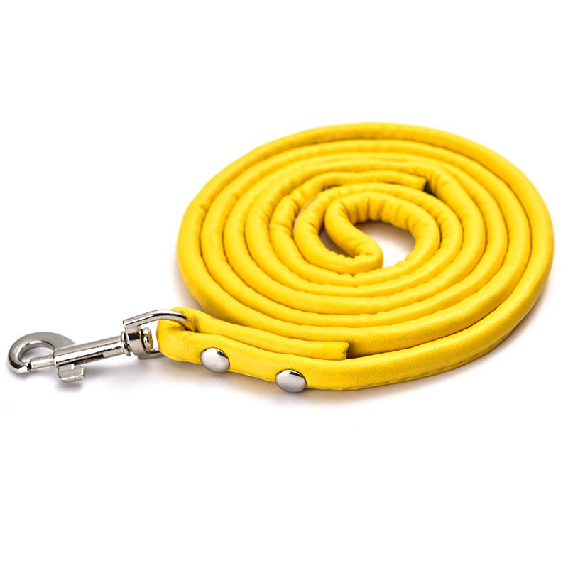 Pet Dog leash Fashion Multicolor PU Round Rope Small And Medium Dog leash