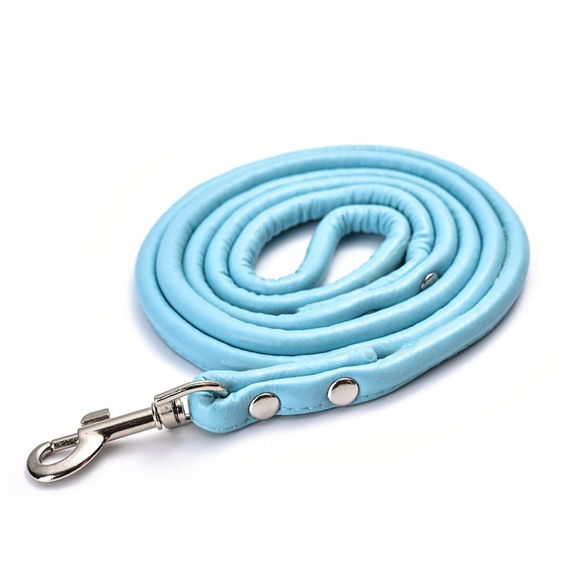Pet Dog leash Fashion Multicolor PU Round Rope Small And Medium Dog leash