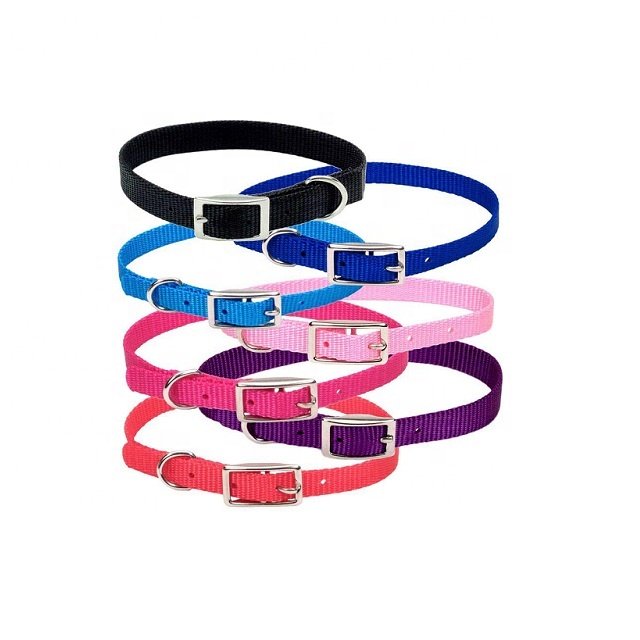 Colorful Nylon Dog Collars