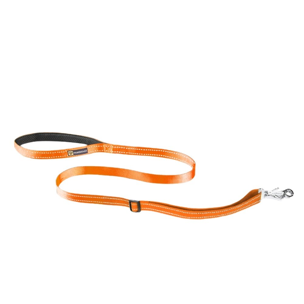 Reflective nylon pet dog walking dual leash with double handle lead