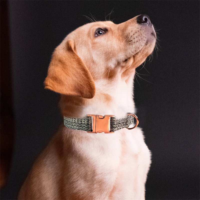 Custom Dog Collar with Metal Buckle - Pet Collars Personalized with Name and Phone Number & Other Sizes for Small & Large Dogs