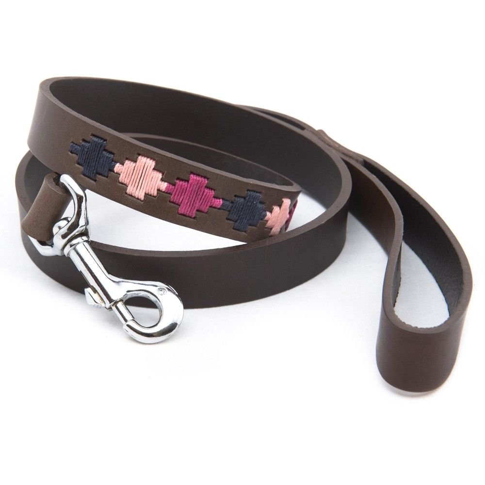 High Quality Leather Argentinian Polo dog Collar with Leash