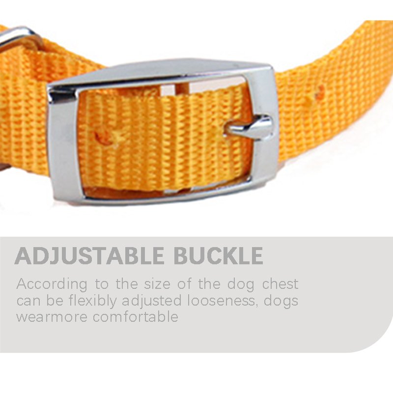 2023 dog collar manufacturer Fashion personalized Pet Collars for puppy