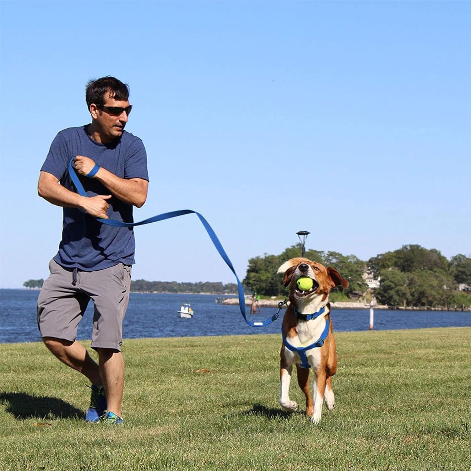 Wholesale No Pull Dog Harness Set Pet Collar Leash Set Adjustable Waterproof Pvc Step In Dog Harness
