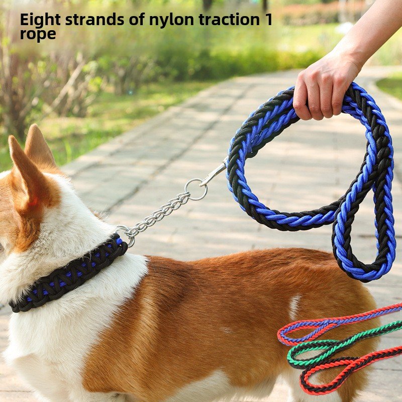 Pet Training Dog Leash Personalized Solid Pattern Pet Traction Chain Colorful Braided Small Wholesale Pet products