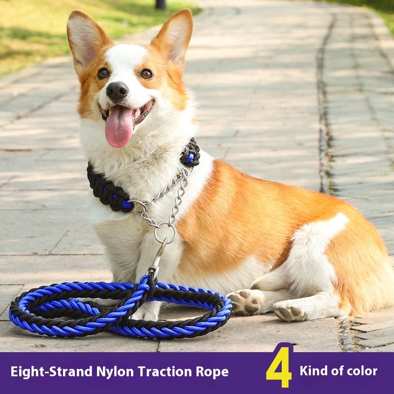 Pet Training Dog Leash Personalized Solid Pattern Pet Traction Chain Colorful Braided Small Wholesale Pet products