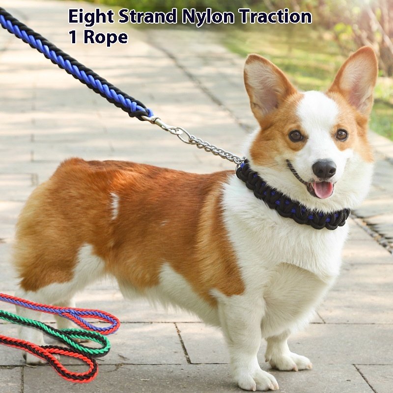 Pet Training Dog Leash Personalized Solid Pattern Pet Traction Chain Colorful Braided Small Wholesale Pet products